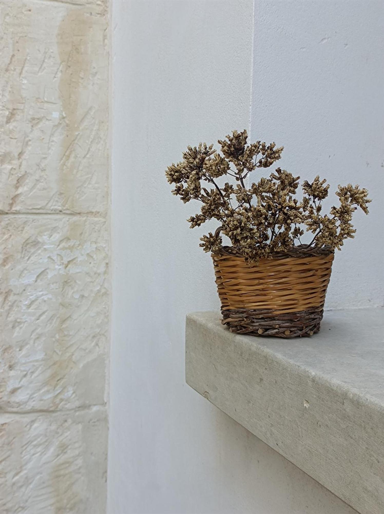 Camera Origano In Salento Martano Εξωτερικό φωτογραφία
